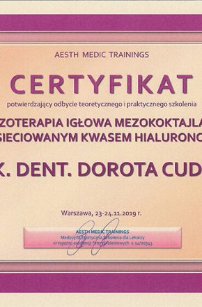 Prodent_Dentysta_Stomatolog_ver_final_mezoterapia_20019.11